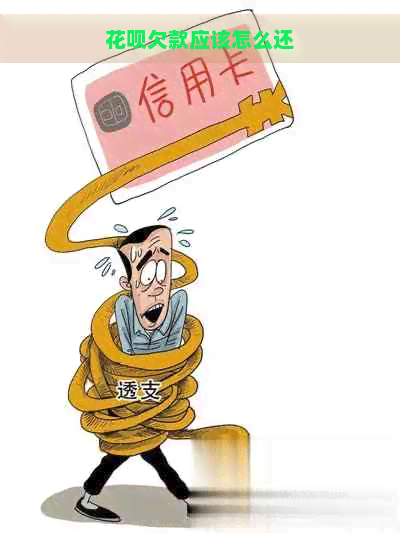 花呗欠款应该怎么还