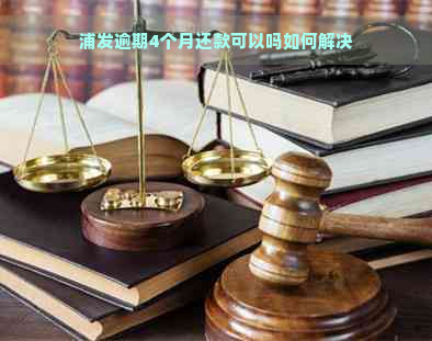 浦发逾期4个月还款可以吗如何解决