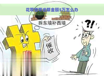 花呗借呗逾期金额5万怎么办