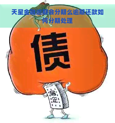 天星金融逾期会分期么逾期还款如何分期处理