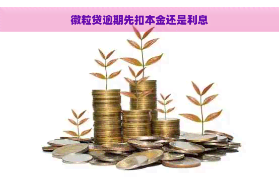 徽粒贷逾期先扣本金还是利息