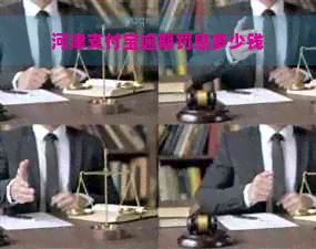 河津支付宝逾期罚息多少钱