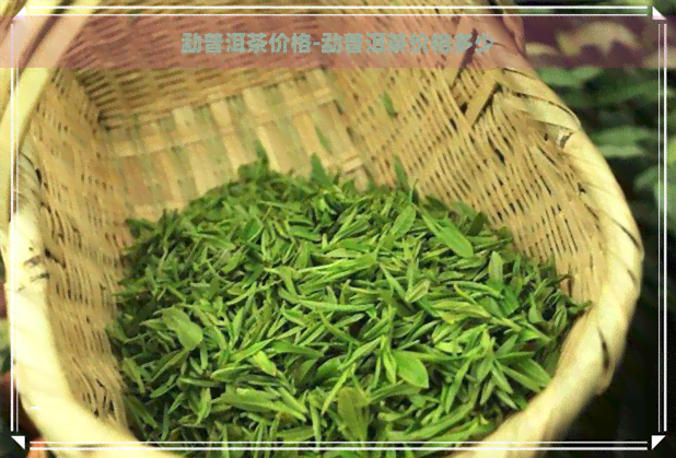 勐普洱茶价格-勐普洱茶价格多少