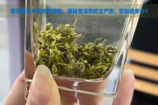 普洱茶生产基地有哪些，揭秘普洱茶的主产地，你知道多少？