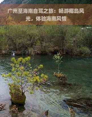 广州至海南自驾之旅：畅游椰岛风光，体验海南风情