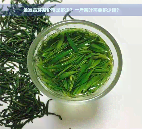 金寨黄芽茶价格是多少？一斤茶叶需要多少钱？