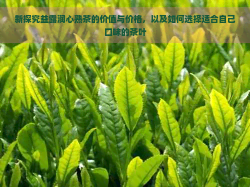 新探究益露润心熟茶的价值与价格，以及如何选择适合自己口味的茶叶