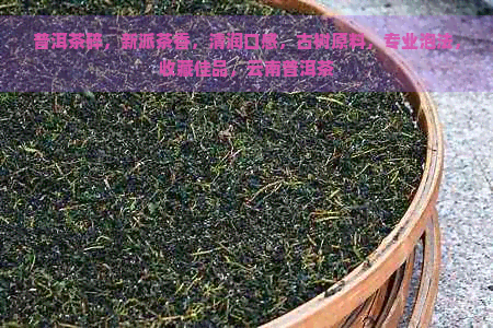 普洱茶碎，新派茶香，清润口感，古树原料，专业泡法，收藏佳品，云南普洱茶