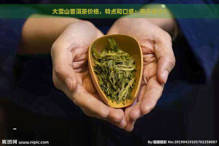 大雪山普洱茶价格，特点和口感：每斤多少？