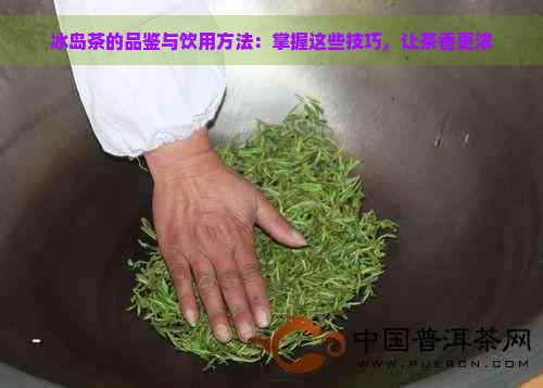 冰岛茶的品鉴与饮用方法：掌握这些技巧，让茶香更浓