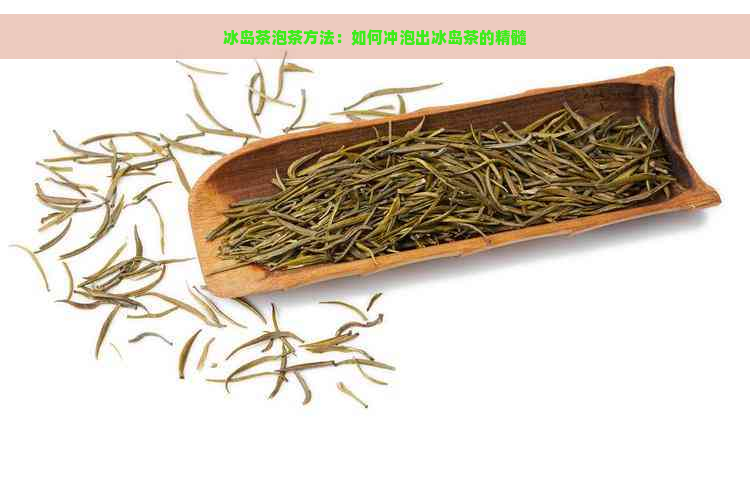 冰岛茶泡茶方法：如何冲泡出冰岛茶的精髓