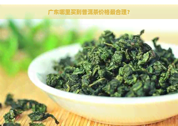 广东哪里买到普洱茶价格最合理？