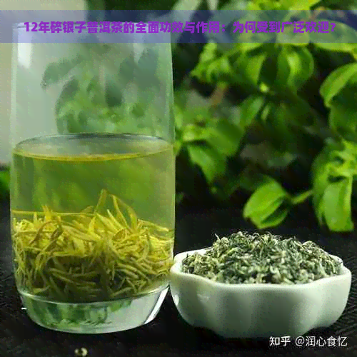 12年碎银子普洱茶的全面功效与作用：为何受到广泛欢迎？