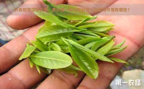 小青柑普洱茶价格：多少钱一斤比较好喝？功效与作用有哪些？