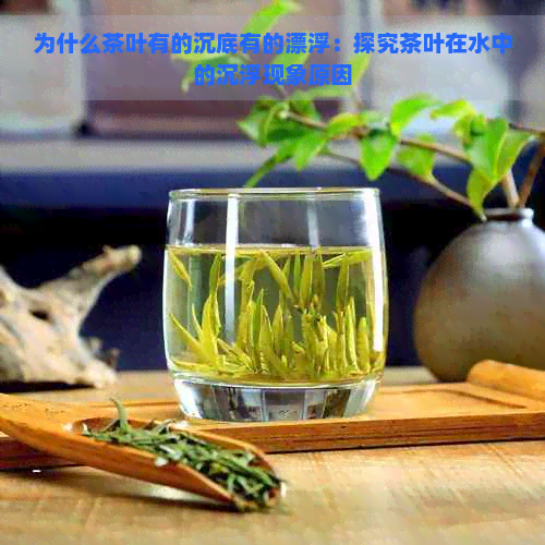 为什么茶叶有的沉底有的漂浮：探究茶叶在水中的沉浮现象原因