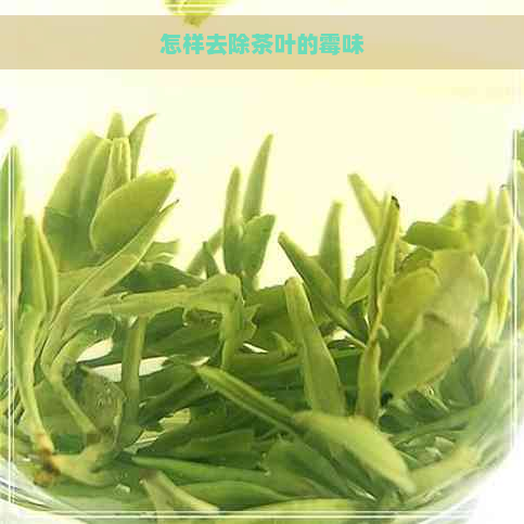 怎样去除茶叶的霉味