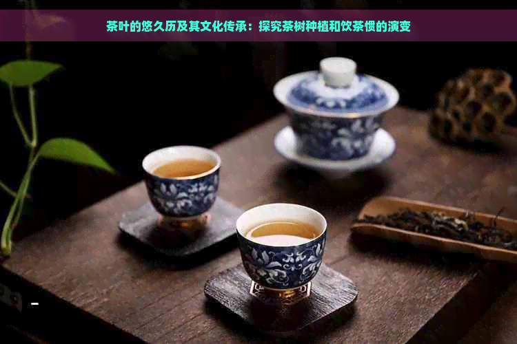 茶叶的悠久历及其文化传承：探究茶树种植和饮茶惯的演变