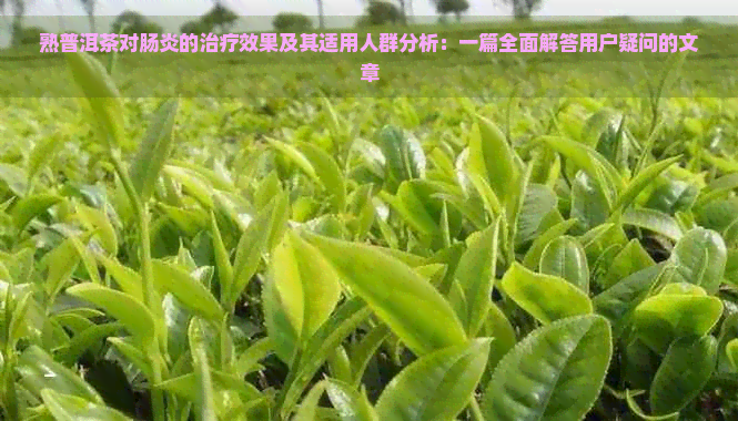 熟普洱茶对肠炎的治疗效果及其适用人群分析：一篇全面解答用户疑问的文章