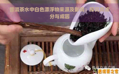 普洱茶水中白色漂浮物来源及影响：探究其成分与成因