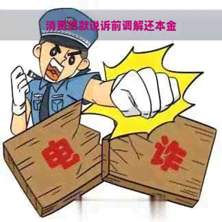 消费贷款说诉前调解还本金