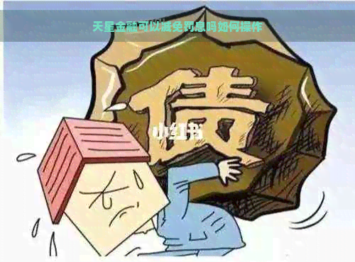 天星金融可以减免罚息吗如何操作