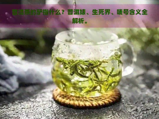 普洱茶的酽指什么？普洱婊、生死界、唛号含义全解析。