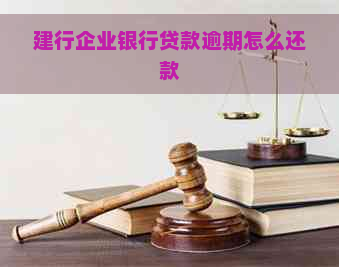 建行企业银行贷款逾期怎么还款