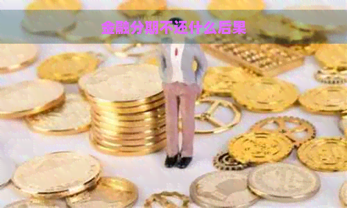 金融分期不还什么后果