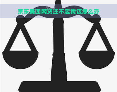 京东美团网贷还不起我该怎么办