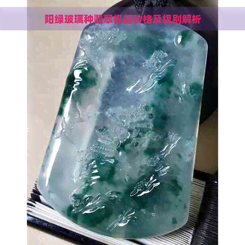 阳绿玻璃种翡翠极品价格及级别解析