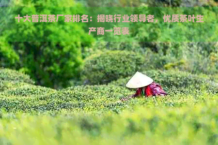 十大普洱茶厂家排名：揭晓行业领导者，优质茶叶生产商一览表