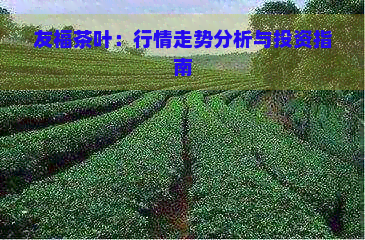 友福茶叶：行情走势分析与投资指南