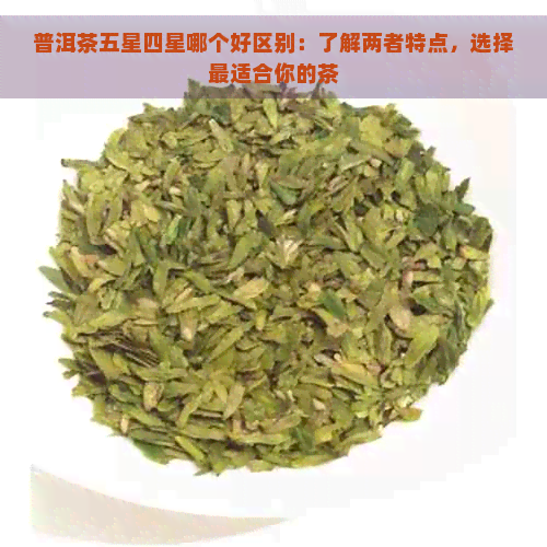 普洱茶五星四星哪个好区别：了解两者特点，选择最适合你的茶