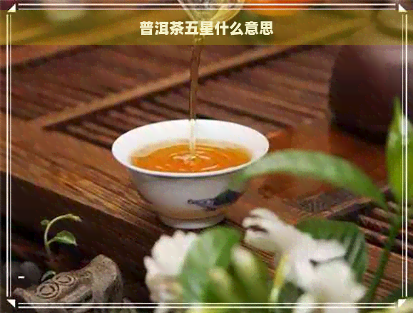 普洱茶五星什么意思