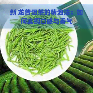 新 龙普洱茶的精泡法：如何实现口感与香气