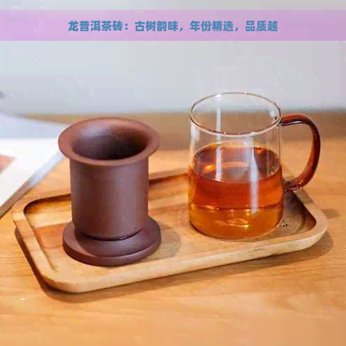 龙普洱茶砖：古树韵味，年份精选，品质越