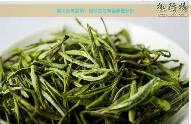 普洱茶与黑茶：相似之处与差异性分析