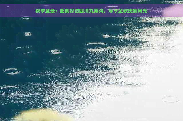 秋季盛景：此刻探访四川九寨沟，尽享金秋斑斓风光