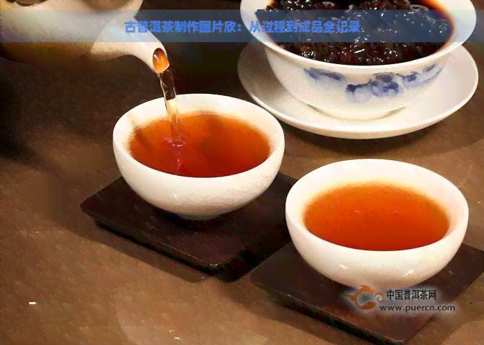 古普洱茶制作图片欣：从过程到成品全记录