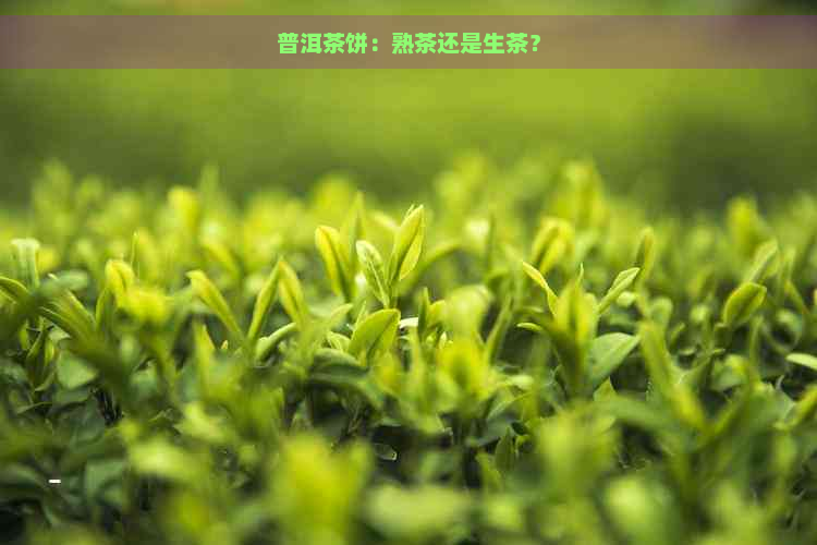 普洱茶饼：熟茶还是生茶？