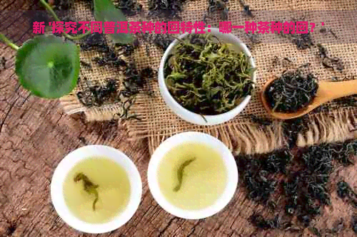 新 '探究不同普洱茶种的回特性：哪一种茶种的回？'