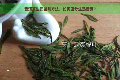 普洱茶生熟鉴别方法，如何区分生熟普洱？