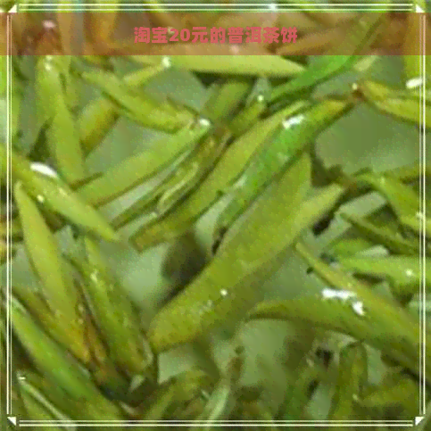 淘宝20元的普洱茶饼