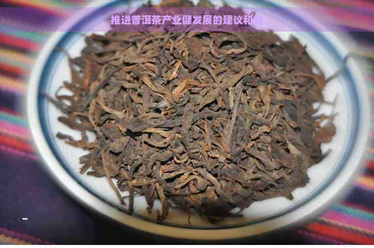 推进普洱茶产业健发展的建议和措