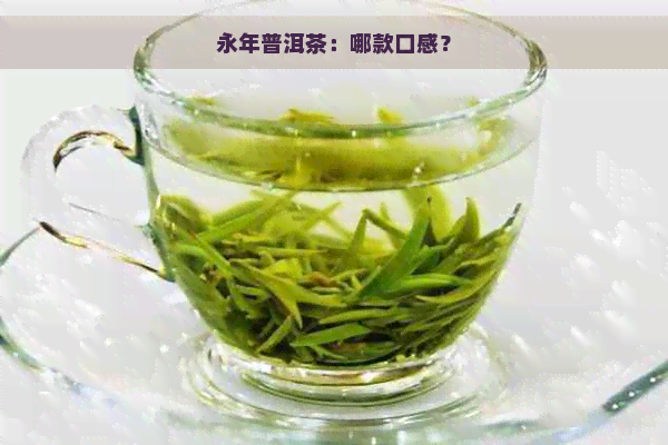 永年普洱茶：哪款口感？