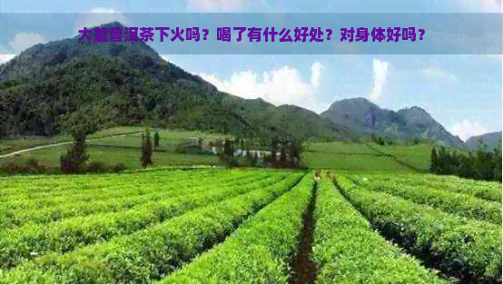 大益普洱茶下火吗？喝了有什么好处？对身体好吗？