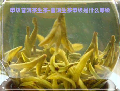 甲级普洱茶生茶-普洱生茶甲级是什么等级