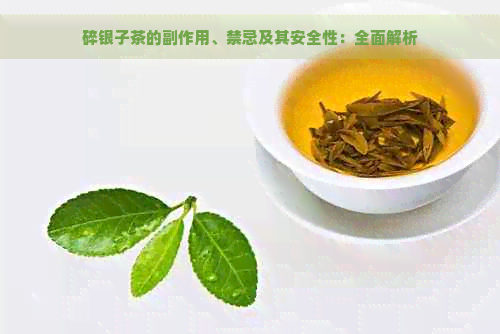 碎银子茶的副作用、禁忌及其安全性：全面解析