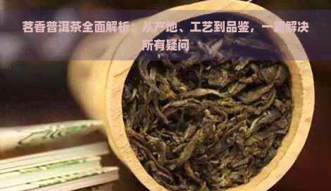 茗香普洱茶全面解析：从产地、工艺到品鉴，一篇解决所有疑问