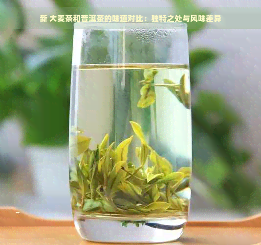 新 大麦茶和普洱茶的味道对比：独特之处与风味差异